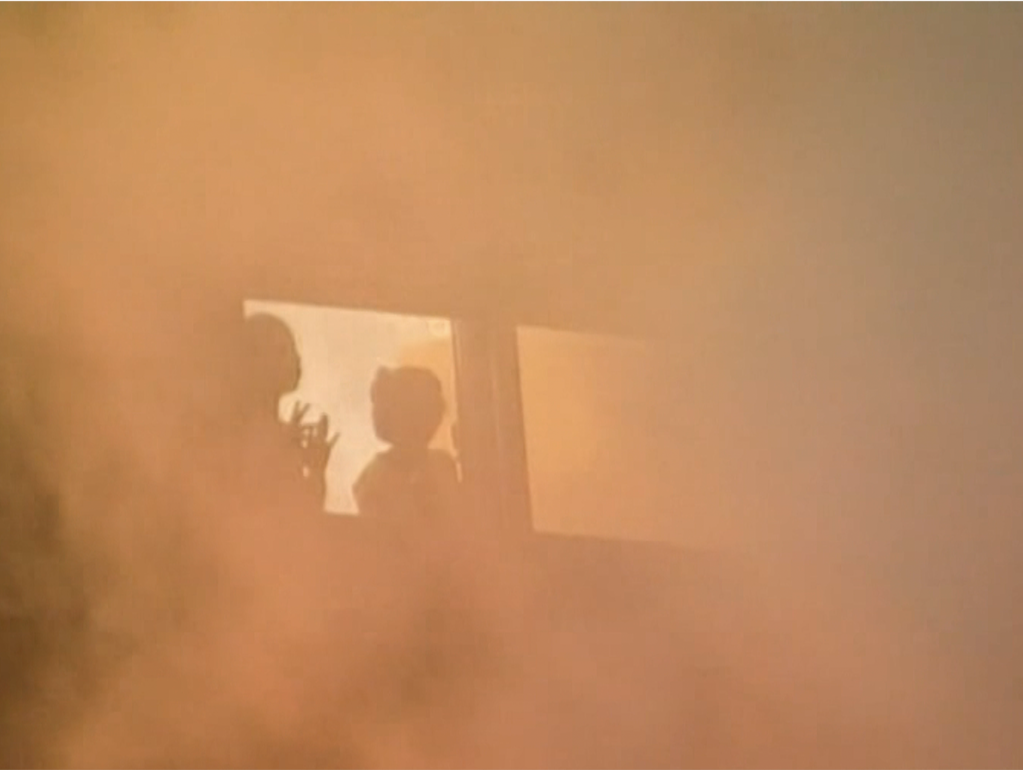 Festival du film de New York (NYFF) - 2021