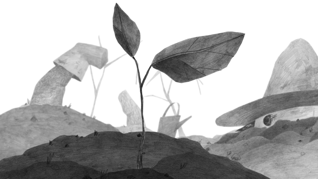 C&oelig;ur de b&oelig;uf