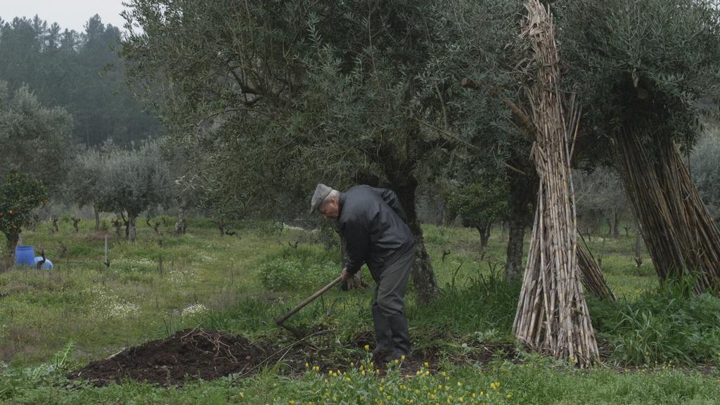 Nos printemps passés ne reviendront plus Nos printemps passés ne reviendront plus