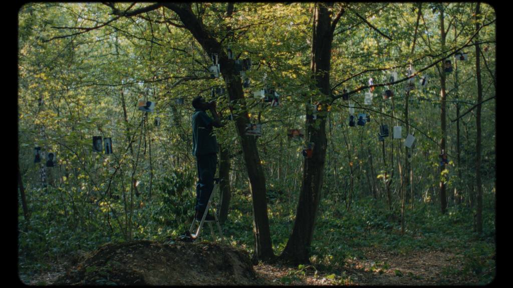 Mémoires du bois Mémoires du bois