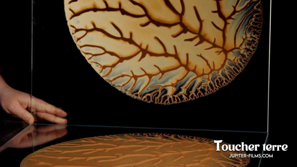 Toucher terre Toucher terre