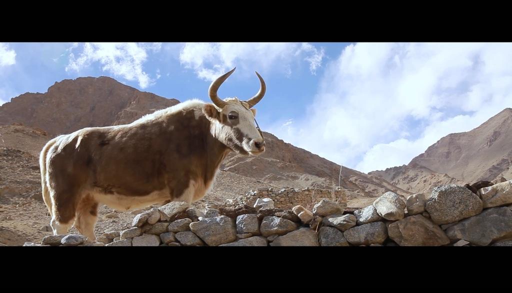 Power of Sun Power of Sun