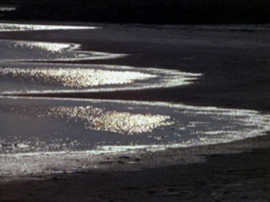 Cannes International Film Festival - 1968 Cannes International Film Festival - 1968