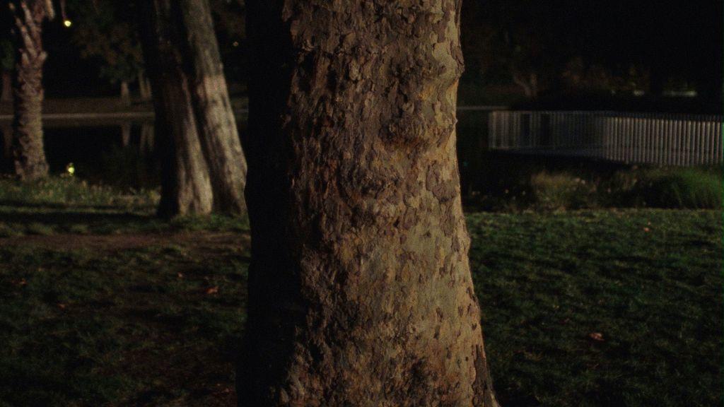 Where Is This Street? or With No Before or After Where Is This Street? or With No Before or After