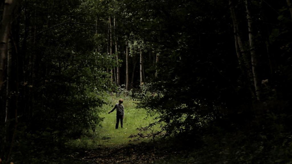 Mostra - São Paulo International Film Festival - 2011 Mostra - São Paulo International Film Festival - 2011
