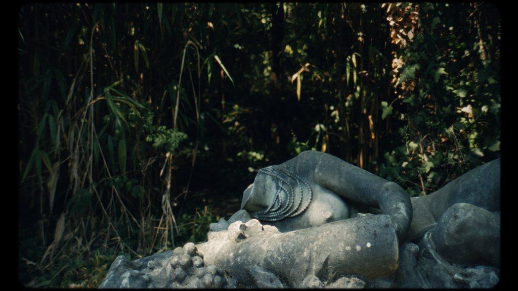 Mémoires du bois Mémoires du bois