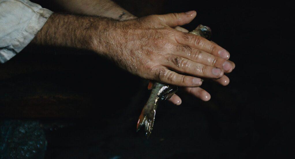 Camping du lac Camping du lac