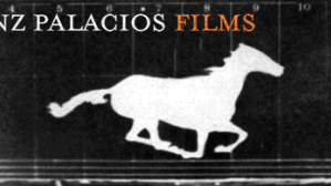 Constanza Sanz Palacios Films