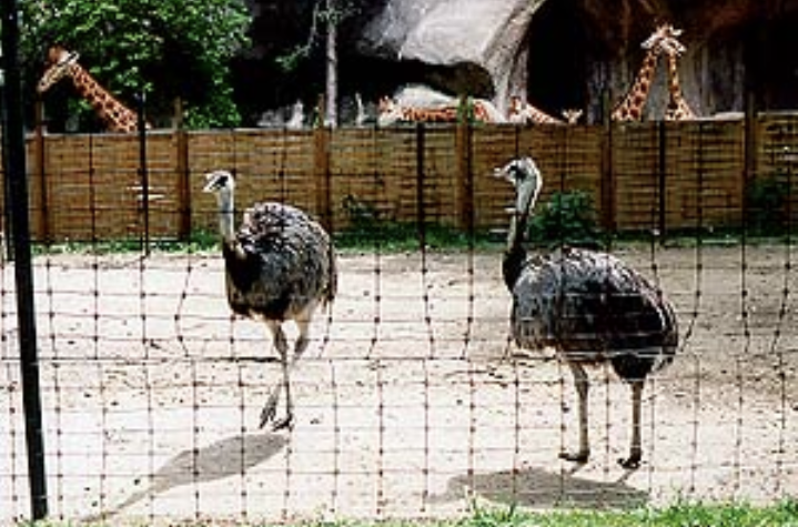 Autour du grand rocher Autour du grand rocher