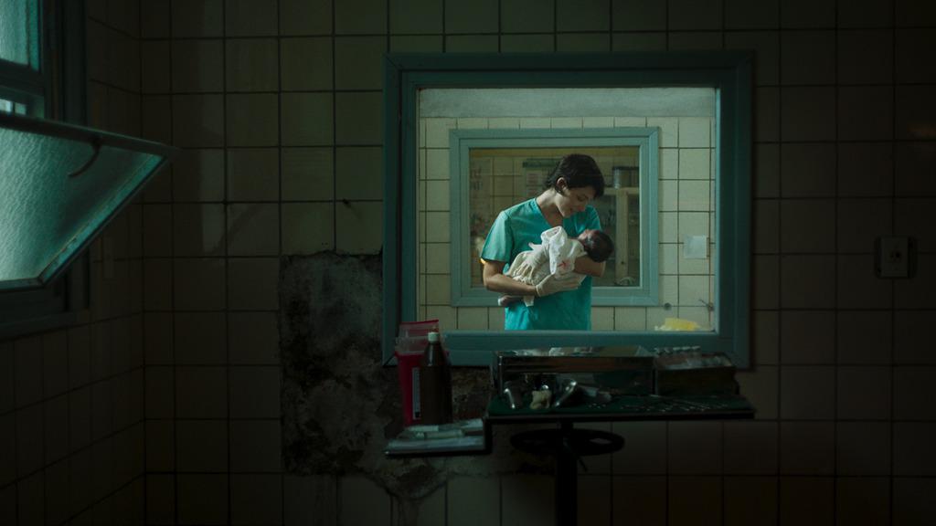 Una especie de familia Una especie de familia