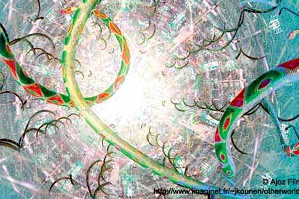 Rio de Janeiro International Film Festival - 2005