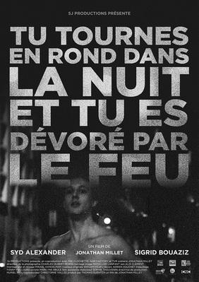 Tu tournes en rond dans la nuit et tu es dévoré par le feu Tu tournes en rond dans la nuit et tu es dévoré par le feu