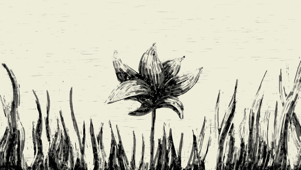 Le Silence de la rue Le Silence de la rue