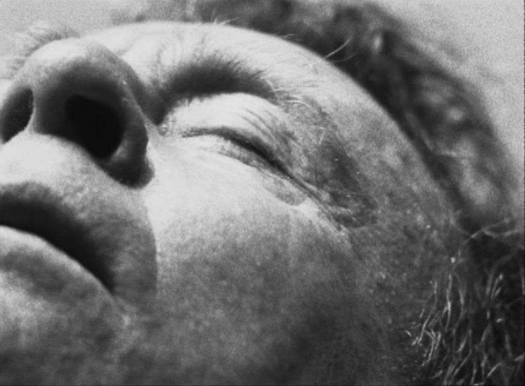 Tehran International Short Film Festival - 2007