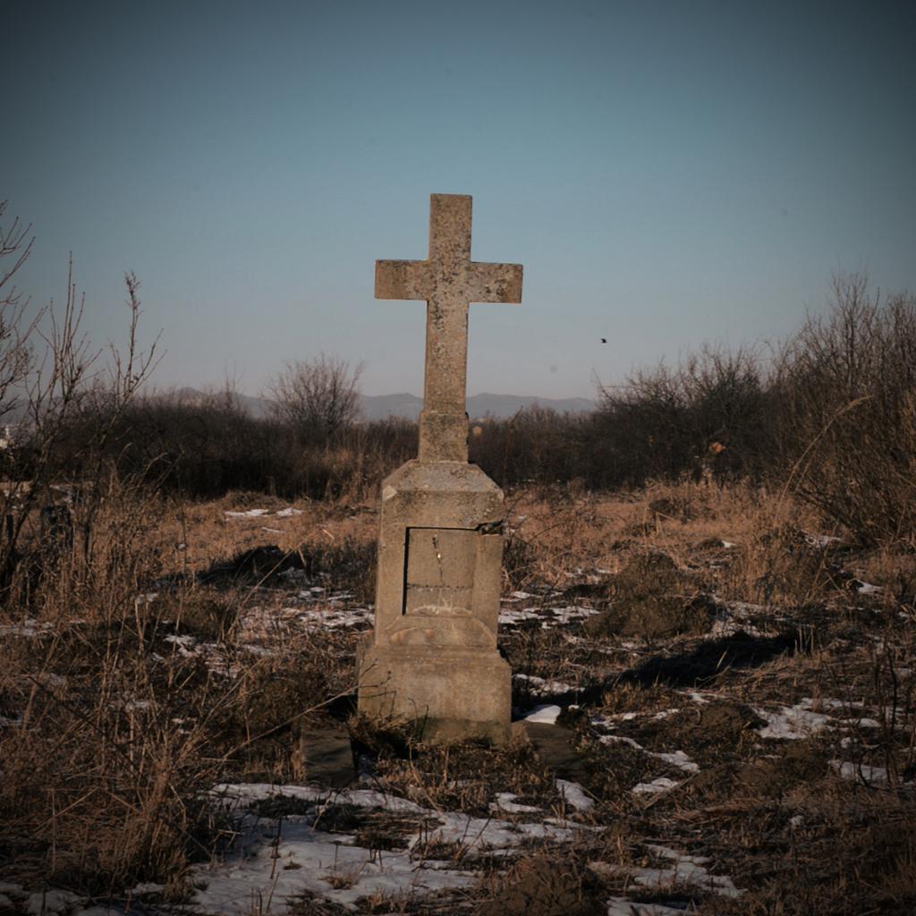  J&eacute;r&eacute;mie  Veyers