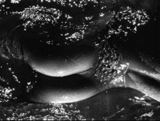 Méditerranéenne Méditerranéenne