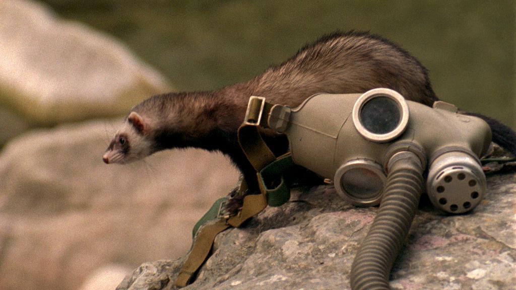 Jean-Luc Tourn&eacute;