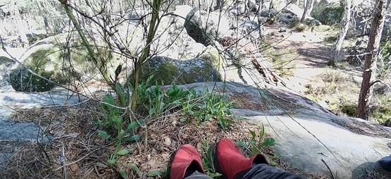 &Eacute;lisa et la Terre du Milieu 2