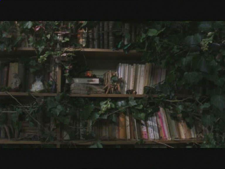 Torino Film Festival  - 2005