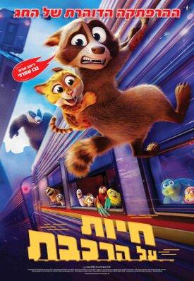 Pets on a Train - Israel Pets on a Train - Israel