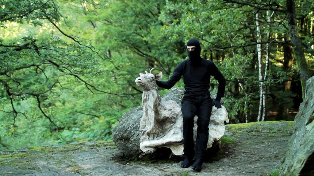 Deer Hunting Deer Hunting