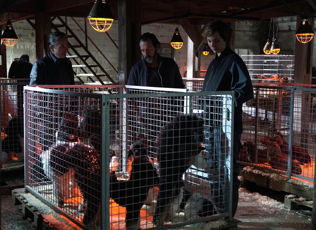 Hof International Film Festival - 2015 - &copy; Christophe Brachet-Mon Voisin Productions