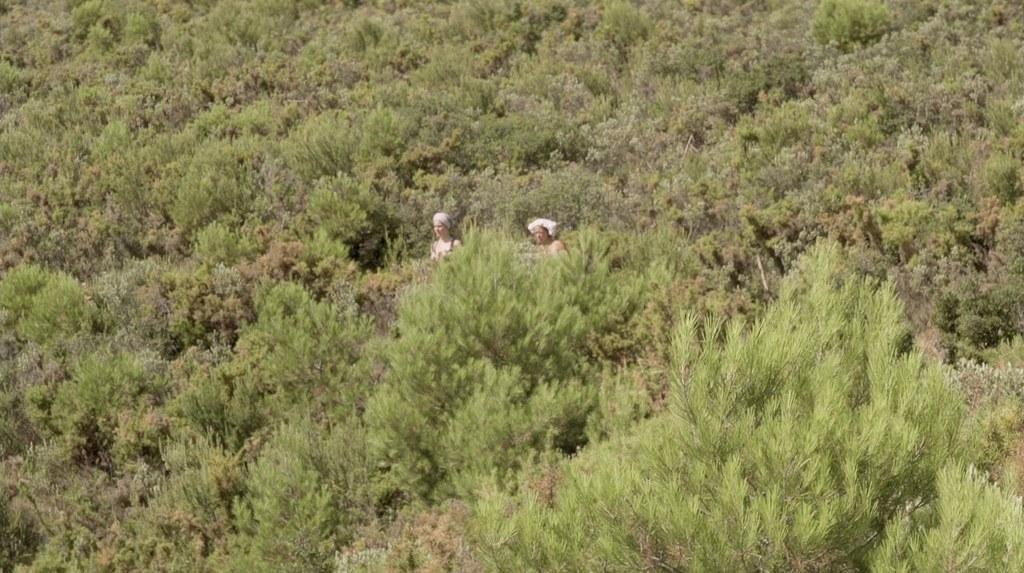 Andy et Charlie Andy et Charlie