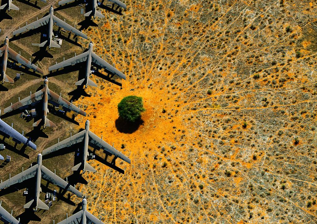 Nature : pour une réconciliation - © Yann Arthus-Bertrand - Hope Production - Calt Production 2024 Nature : pour une réconciliation - © Yann Arthus-Bertrand - Hope Production - Calt Production 2024