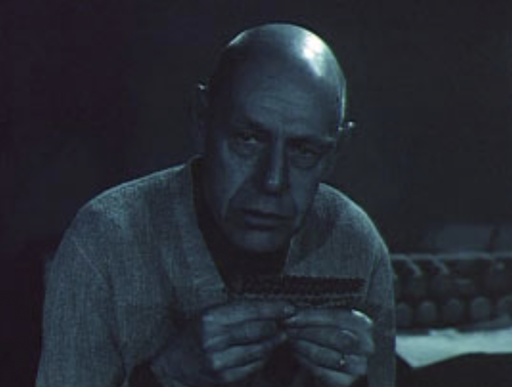 Self Portrait Self Portrait