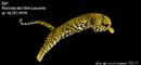 Locarno: the program Locarno: the program