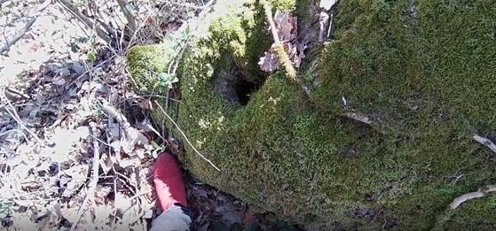 &Eacute;lisa et la Terre du Milieu 2