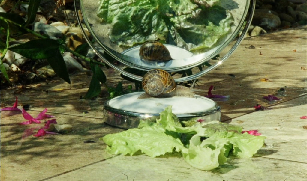 Festival de Cine Franc&oacute;fono en Acadia (FICFA)   - 2023