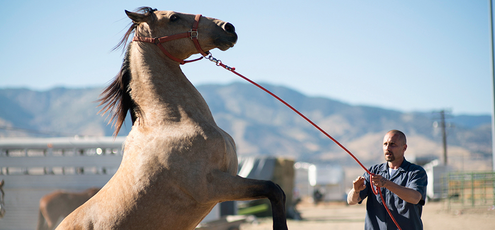 &Eacute;tats-Unis &ndash; News &eacute;co (mars/avril 2019)