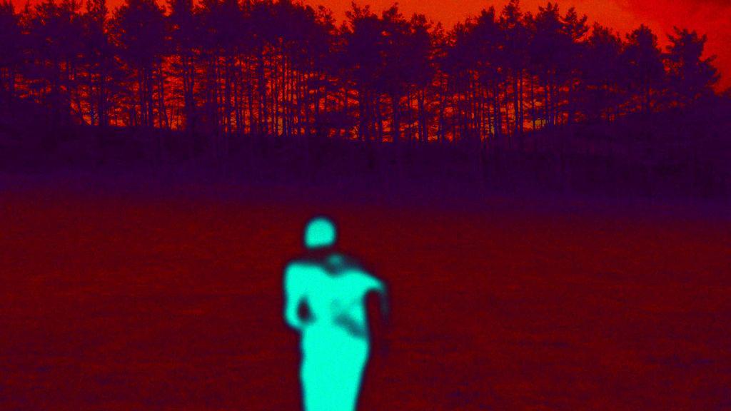 Festival de Cine Francés de Richmond - 2012 Festival de Cine Francés de Richmond - 2012