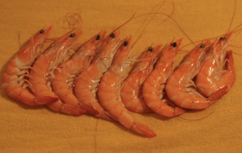 Prawns Orgy (Orgie de crevettes) Prawns Orgy (Orgie de crevettes)