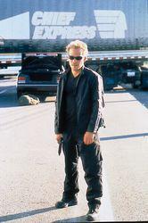 Riders / $TEAL Riders / $TEAL