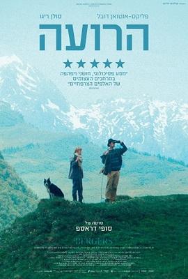 Shepherds - Israël Shepherds - Israël