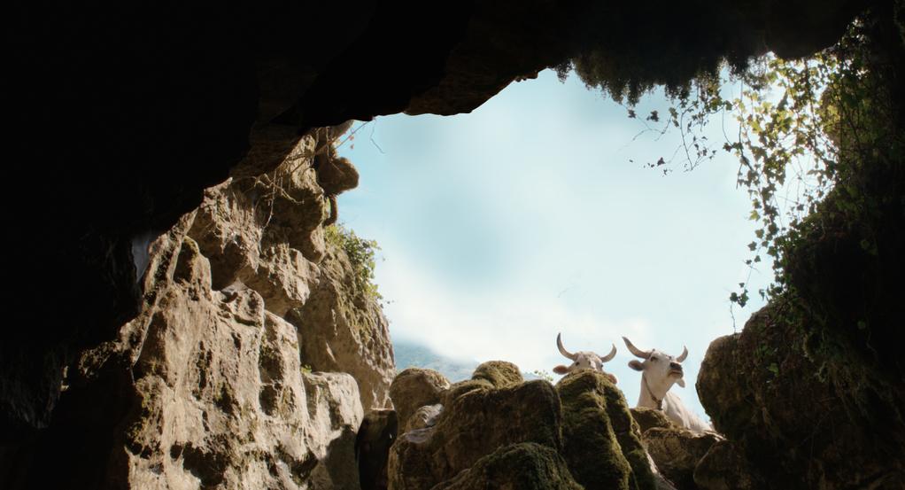 Festival international du film de Tokyo - 2021 - &copy; Doppio Nodo Double Bind &ndash; Coproduction Office