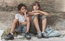 Des enfants dans les arbres Des enfants dans les arbres