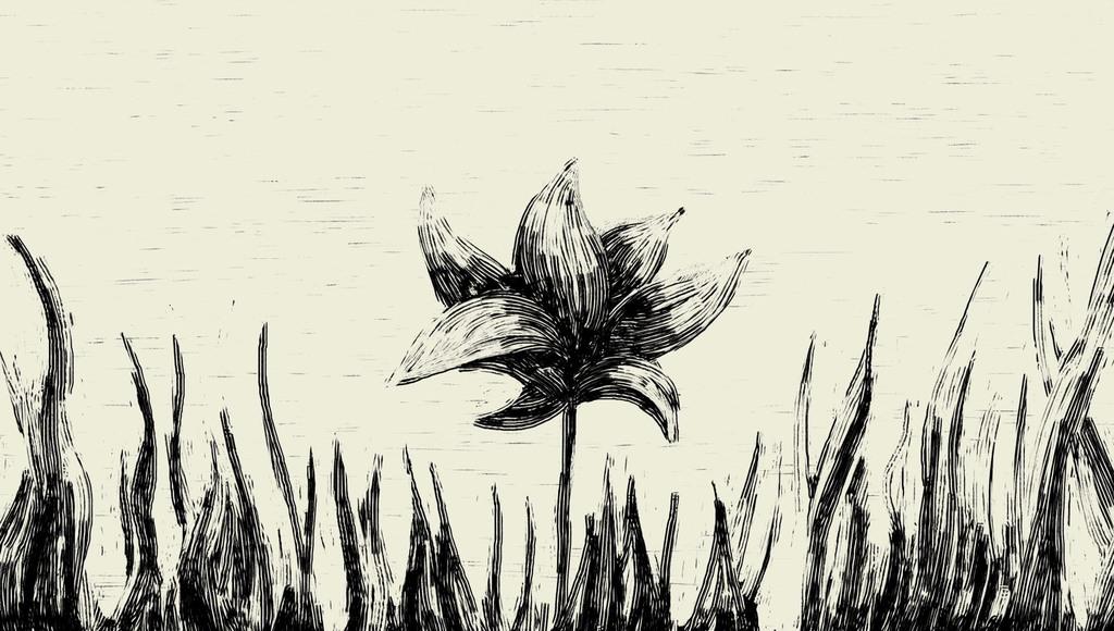 Fran&ccedil;ois Poitou