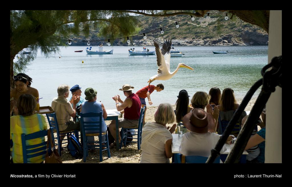 Nicostratos the Pelican Nicostratos the Pelican