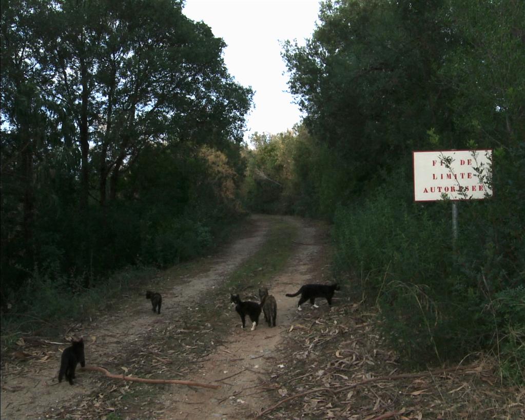 In the Open In the Open