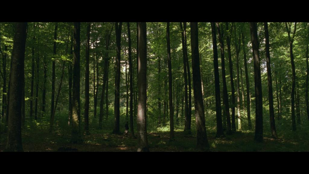 The Last Battle The Last Battle