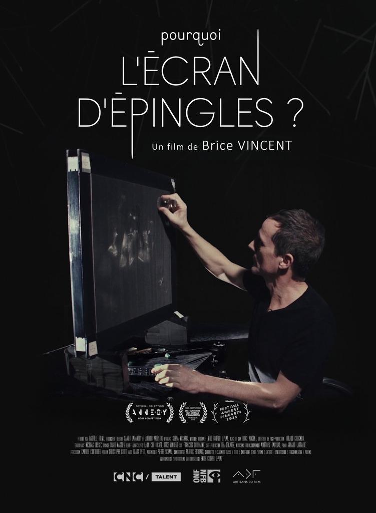 Pourquoi l'&eacute;cran d'&eacute;pingles ?