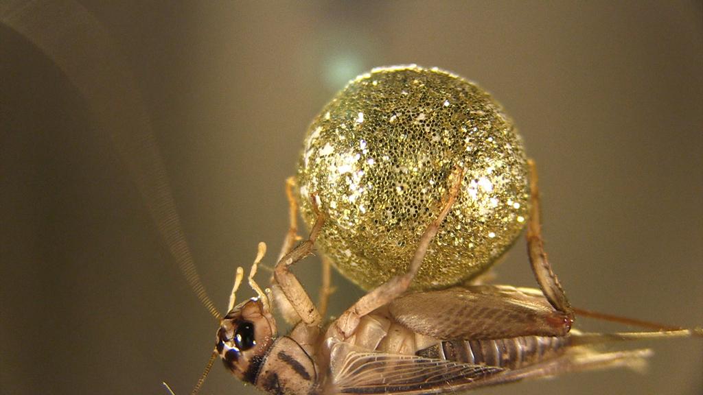 The World Mutates The World Mutates