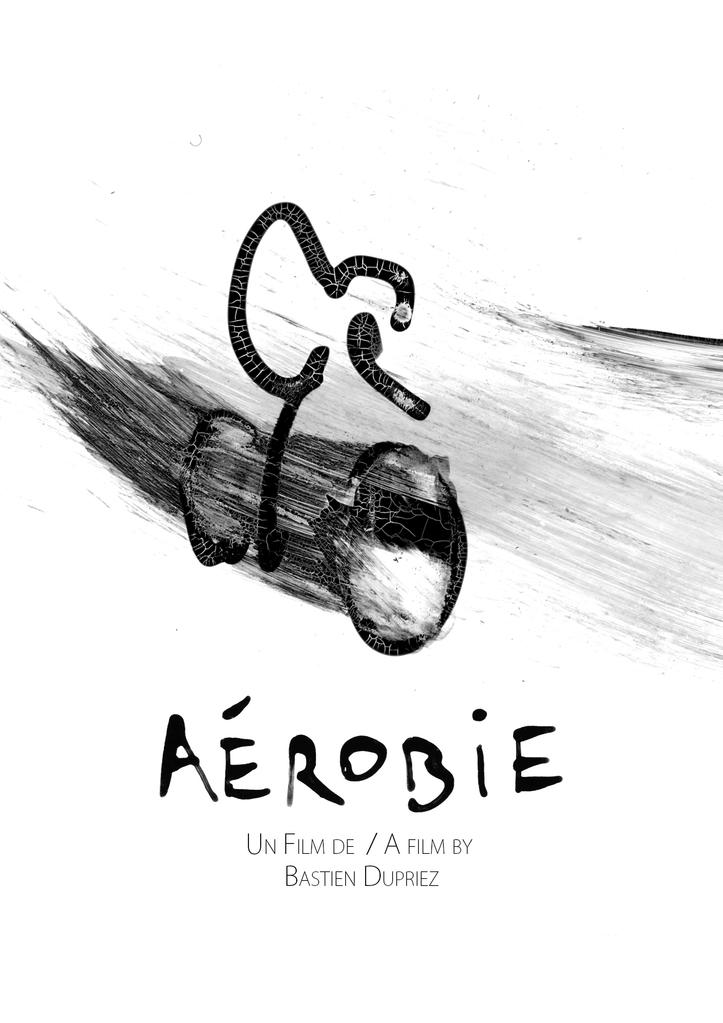 Aerobic Aerobic