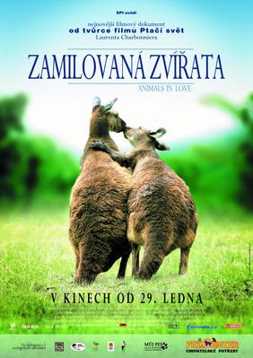 Animals in love - Poster - République tchèque Animals in love - Poster - République tchèque