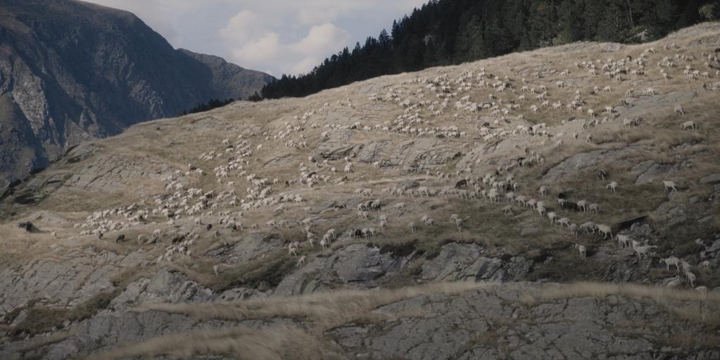 Vers l'absolu Vers l'absolu