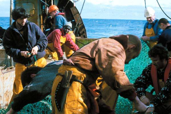 Illumination / 仮題:イルミネーション Illumination / 仮題:イルミネーション