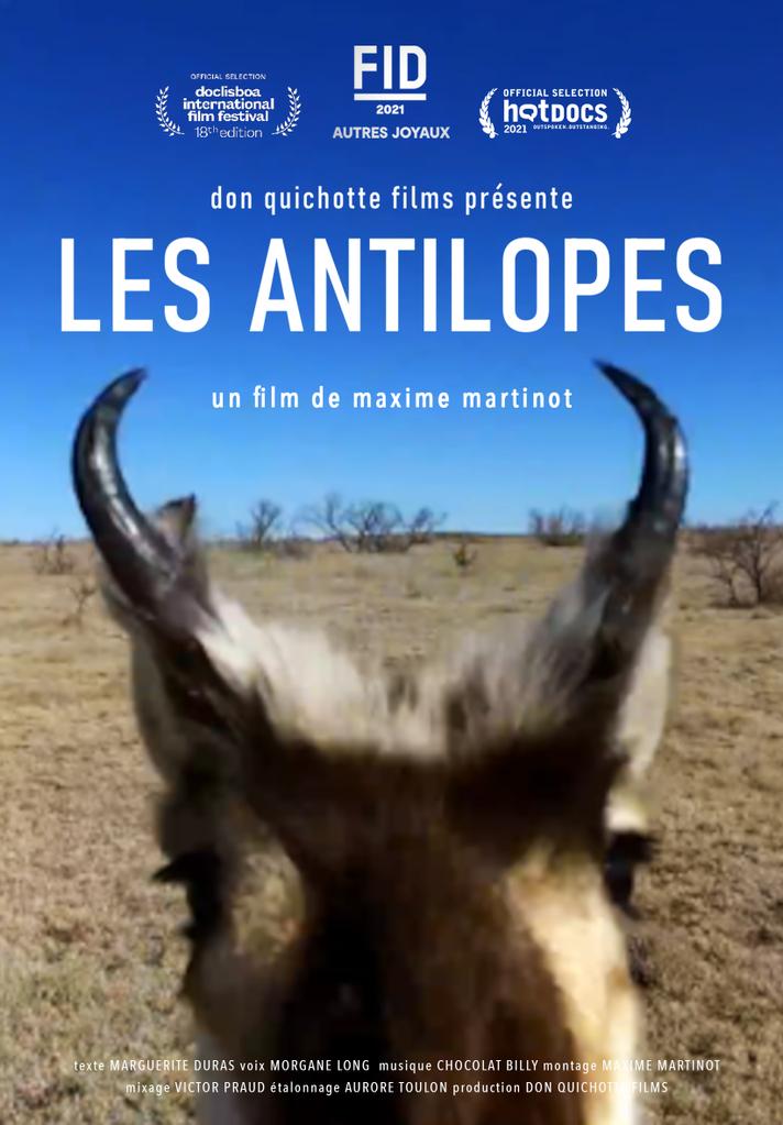 Les Antilopes Les Antilopes